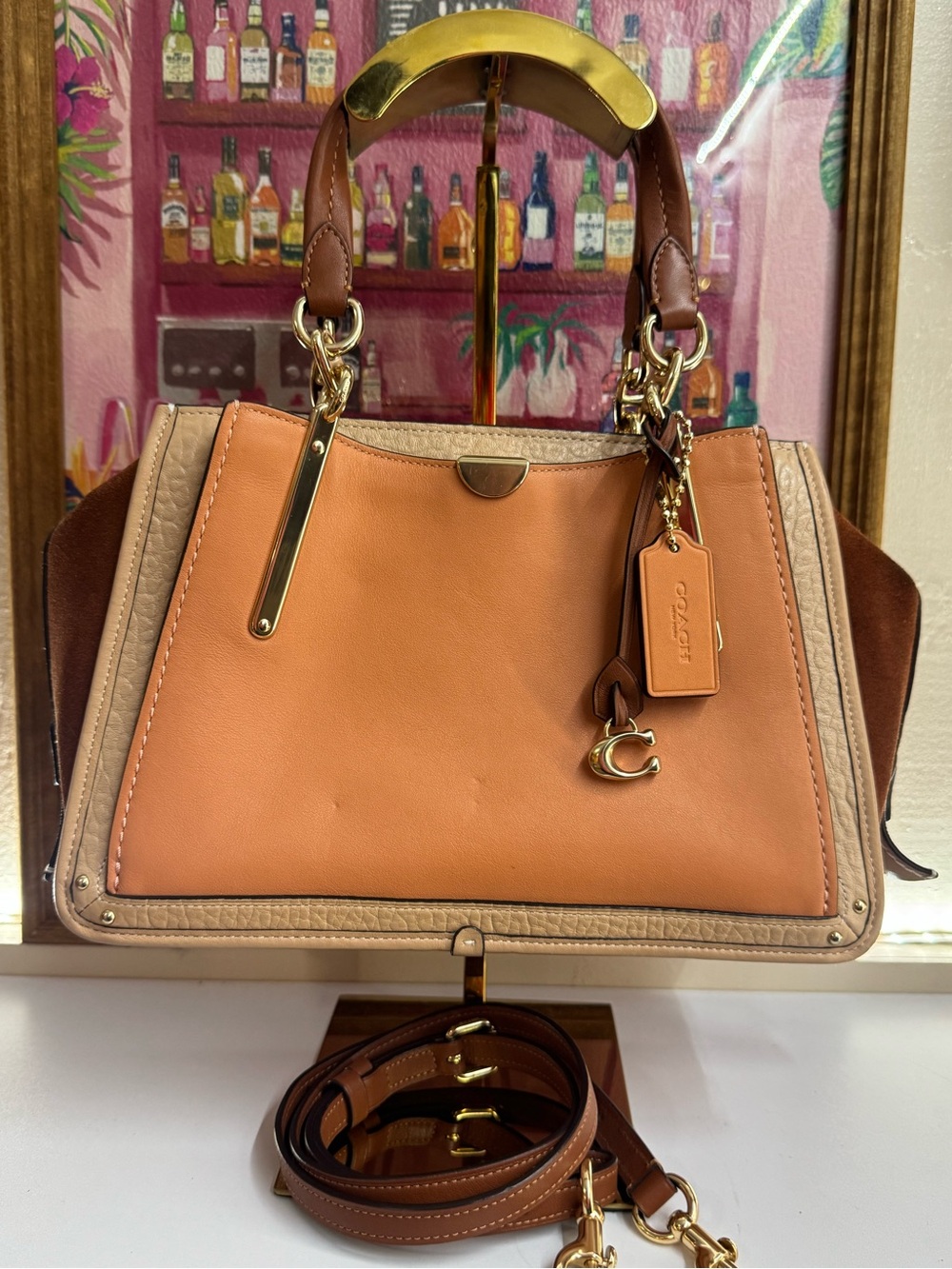 COACH Dreamer Colorblock Leather Satchel, Suede Paneled Sides Gold Tone Hardware